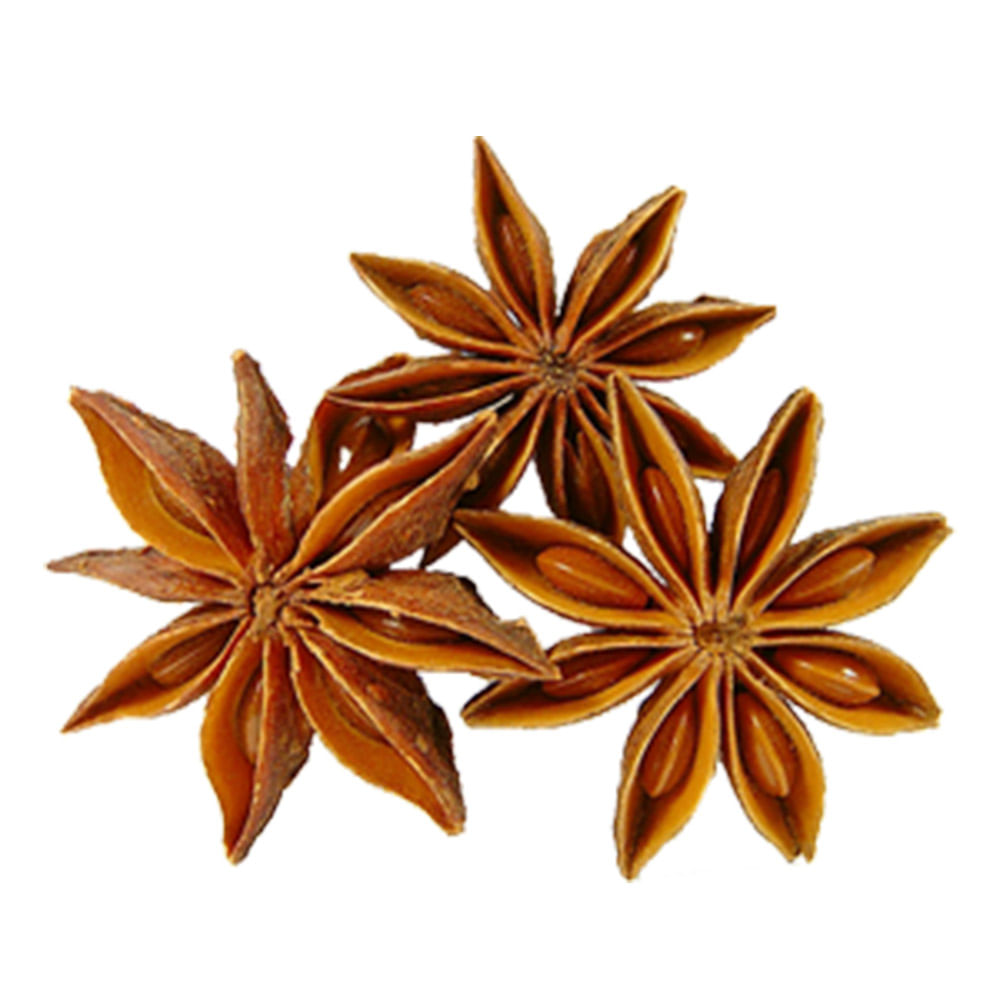 CONDIM SN ANIS ESTRELADO 20G - Apoio Entrega V2