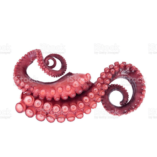 Tentaculo-Polvo-Supernosso-Congelado-270g-