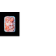 Cogumelo-Nat-Salmao-200g-Bj