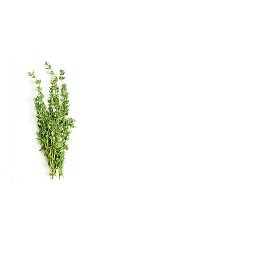 TOMILHO-ORGANICO-DO-CHICO-20G