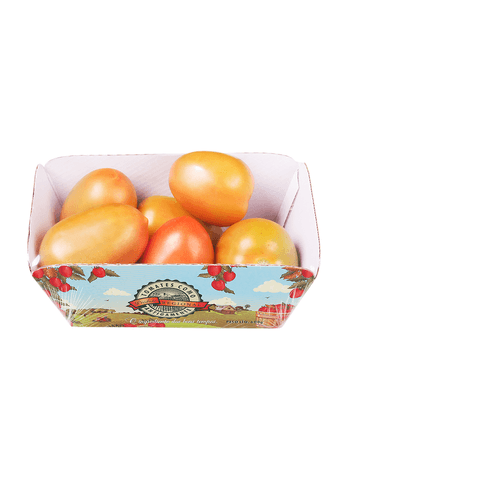 Tomate-Trebeschi-Como-Antigamente-600g
