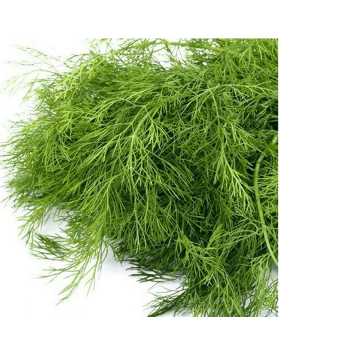 ANETO-ORGANICO-DO-CHICO-28-GRAMAS-MOLHO