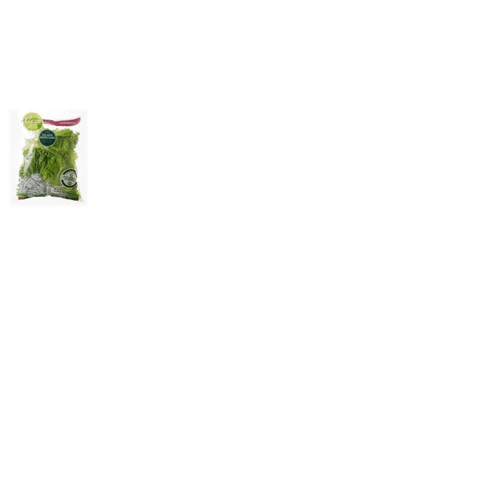 SALADA-PROC-ELEVE-CRESPA