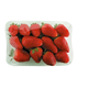 MORANGO-ESP-500G-BJ