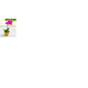 FLOR-PHALEA-MINI-ORQUIDEA-PT09-UN