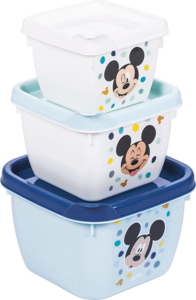 CJ POTE PLAST PLASUTIL QUAD 3PCS C/TP-MICKEY