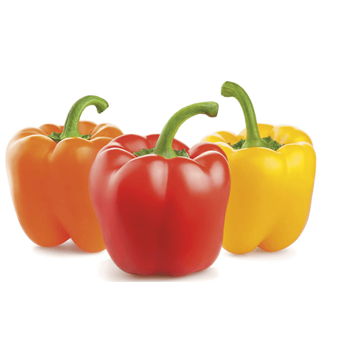 PIMENTAO-DOCE-BLOCK-250G