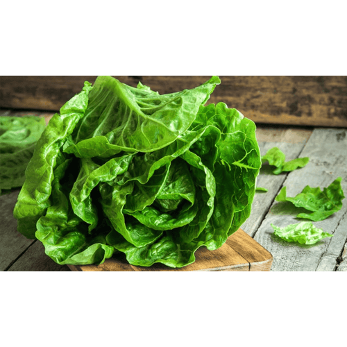 ALMEIRAO-TODO-VERDE-UN ALMEIRAO-TODO-VERDE-UN