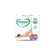Fralda-Personal-Baby-Premium-XXG-Com-24-Unidades Fralda-Personal-Baby-Premium-XXG-Com-24-Unidades