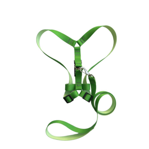 PEITORAL-E-GUIA-P--CAES-SEDA-AMERICANA-UN PEITORAL-E-GUIA-P--CAES-SEDA-AMERICANA-UN