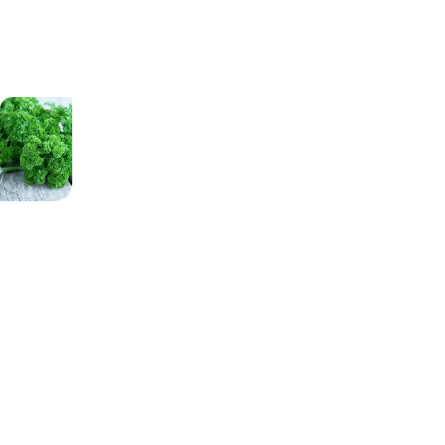 SALSA-CRESPA-C-FRESCA-UN