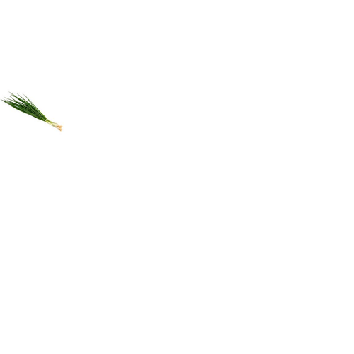 CEBOLINHA-HIDROP-AQUA-TERRA-UN CEBOLINHA-HIDROP-AQUA-TERRA-UN