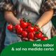 Preparado-para-Caldo-em-Tablete-Legumes-Knorr-Mais-Sabor-Caixa-57g-6-Unidades