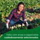 Preparado-para-Caldo-Tablete-Carne-Knorr-Mais-Sabor-Caixa-152g-16-Unidades-Embalagem-Economica