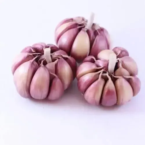 Alho-Tipo-1Kg Alho-Tipo-1Kg