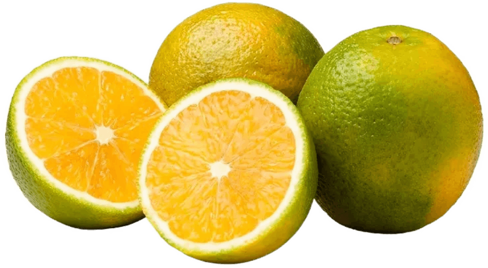 Laranja Pera Rio 500g