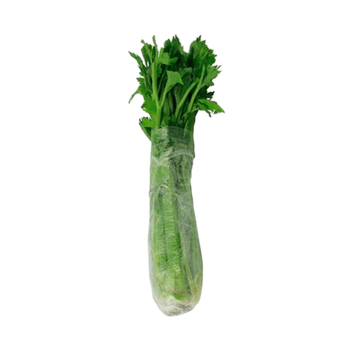 Salsao-Unidade Salsao-Unidade