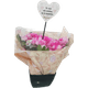 FLOR-NAT-AZALEIA-PT-14-1UN