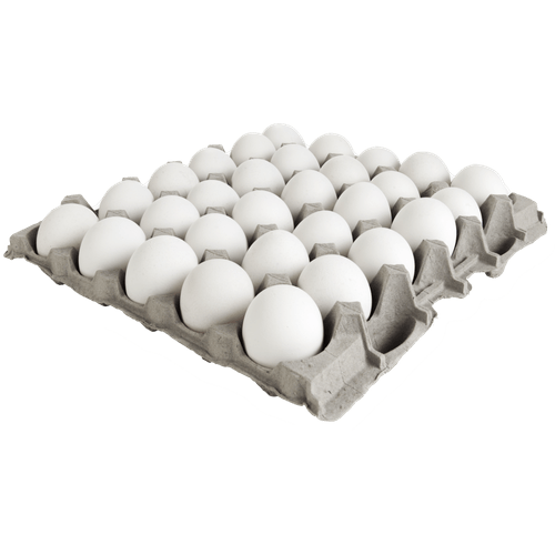 Ovos-Brancos-Pente-com-30-Unidades Ovos-Brancos-Pente-com-30-Unidades