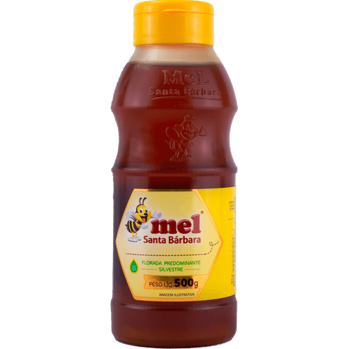 Mel-Santa-Barbara--Bisnaga-Silvestre-500g
