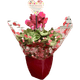 FLOR-NAT-VASO-DEC-CYCLAMEN-DEC-1UN