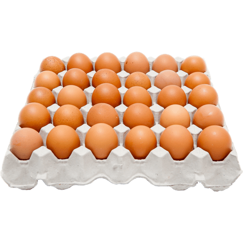 Ovo-de-Galinha-Asa-Vermelho-Pente-30-Unidades