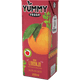 Nectar-Yummy-Laranja-Maca-200ml-