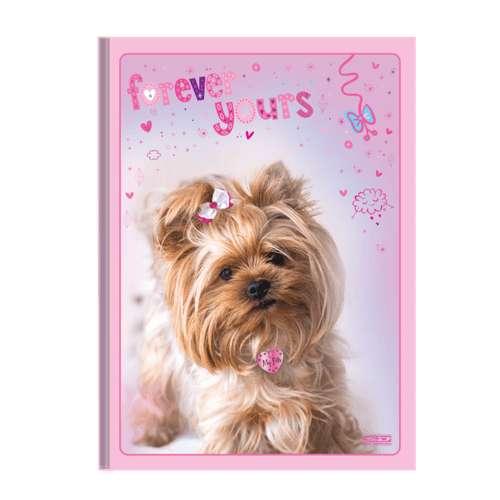 Cad-Sao-Domingos-Broch-96f-My-Pets Cad-Sao-Domingos-Broch-96f-My-Pets