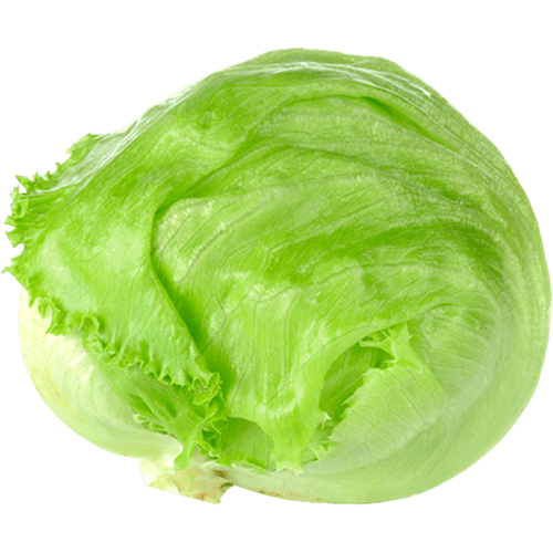 ALFACE-AMER-180G ALFACE-AMER-180G