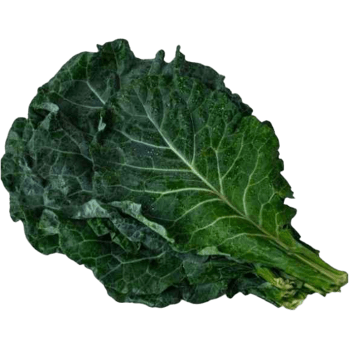 Couve-Organico-do-Chico-Molho