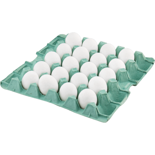 Ovos-Brancos-Aviario-Diamante-20-Unidades- Ovos-Brancos-Aviario-Diamante-20-Unidades-