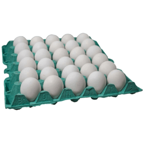 Ovo-Galinha-Branco-Santa-Monica-Tipo-Pequeno-30-Unidades Ovo-Galinha-Branco-Santa-Monica-Tipo-Pequeno-30-Unidades