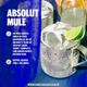 Vodka-Absolut---1-litro