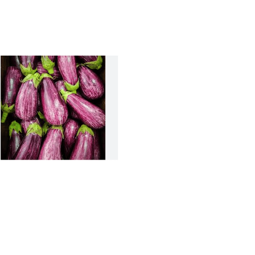 Berinjela-Rajada-1Kg Berinjela-Rajada-1Kg