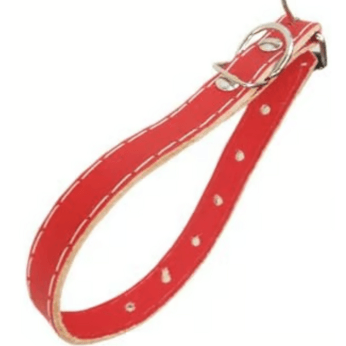 COLEIRA-COLOSSO-COURO-FORRADA-N-2