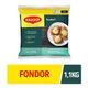 Tempero-Fondor-MAGGI-11kg