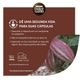 Cafe-em-Capsula-NESCAFE-DOLCE-GUSTO-Chococcino-10-Capsulas