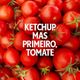 Ketchup-Heinz-Tradicional-567g