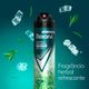 Rexona-Desodorante-Men-Impacto-Aerosol-150ml