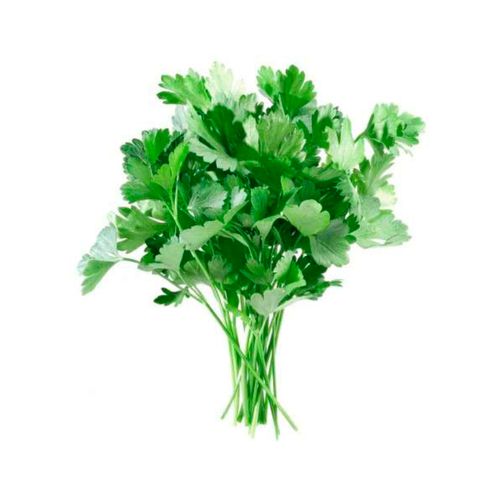 SALSINHA-TODO-VERDE-UN SALSINHA-TODO-VERDE-UN