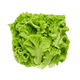 ALFACE-CRESPA-HIGIENIZADA-PURO-SER-200G