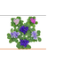 FLOR-NAT-VIOLETA-DOBRADA-P11
