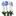 FLOR-NATURAL-ORQUIDEA-PHALAENOPSIS-POTE-12-MULTI-COLORIDA