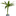 FLOR-NATURAL-DRACENA-LUCKY-BAMBOO-POTE-07-HIDROCULTURA