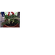 PLANTA-ORNAMENTAL-CUIA-VARIADO-P13