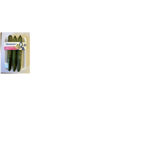 PEPINO-CAIPIRA-ALIMENT--450G