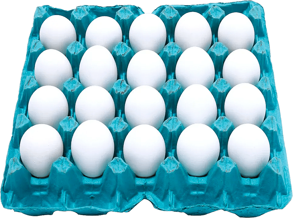 Ovos de Galinha Asa Branco 20 Unidades
