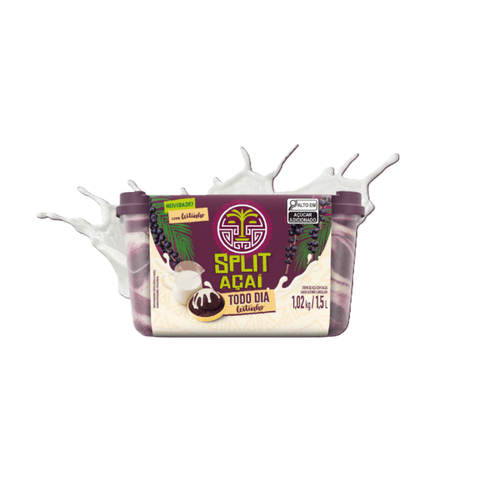 CREME-DE-ACAI-SPLIT-TODO-DIA-COM-LEITINHO-15L-PT