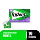 Goma-de-Mascar-Menta-Zero-Acucar-para-Dietas-de-Ingestao-Controlada-de-Acucares-Trident-Caixa-252g-14-Unidades-Leve-Mais-Pague-Menos