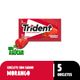 Chiclete-Trident-Morango-sem-acucar